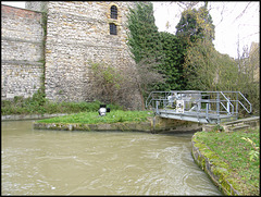 weir on the Castle Mill Stream