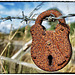 Barbed wire fence with padlock.