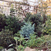 Warm Temperate Pavilion in the Brooklyn Botanical Garden, Nov. 2006