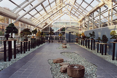 The Bonsai Museum at the Brooklyn Botanical Garden, Nov. 2006