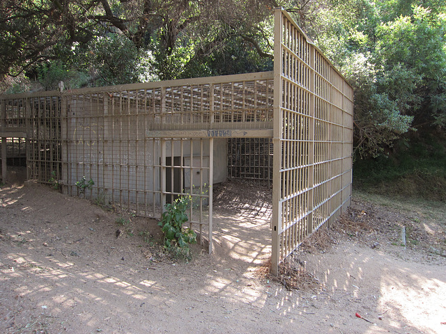 Griffith Park Old Zoo (2599)
