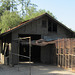 Griffith Park Old Zoo (2602)