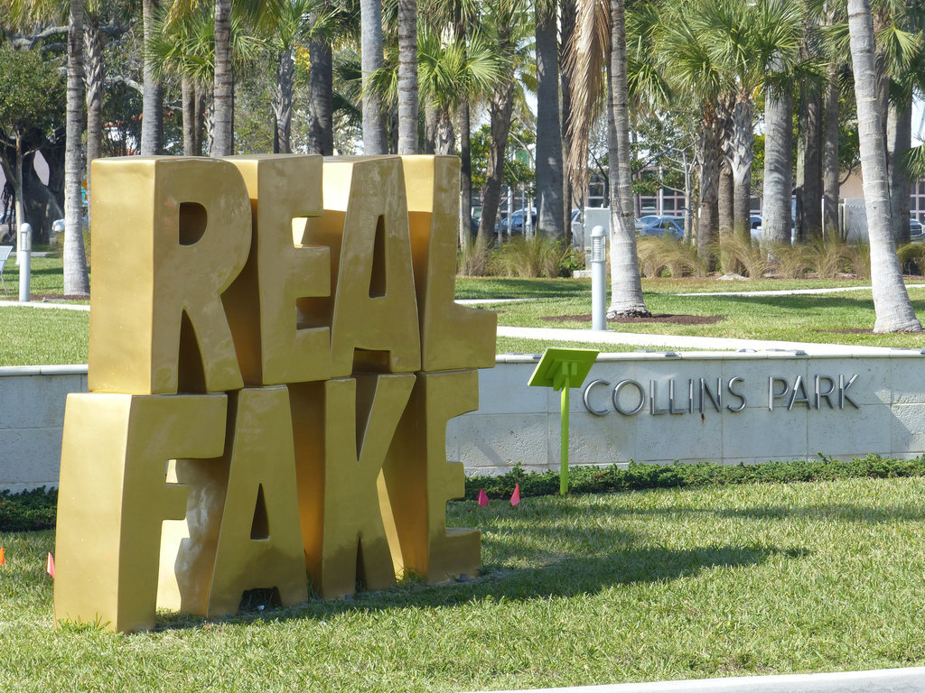 Real Fake (1) - 24 January 2014
