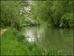 spring green river