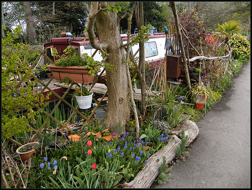 boater's garden in spring