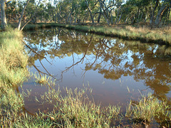 2022 Karoo pond 022