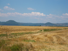 Paysage de plateau entre Kladovo et Grabovica