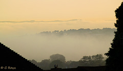 Patio Life: View of Sea Mist