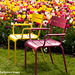 chairs before tulips