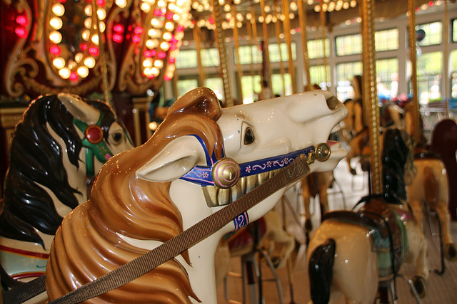Carousel horse (Explored)