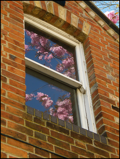 a window in spring