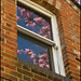 a window in spring