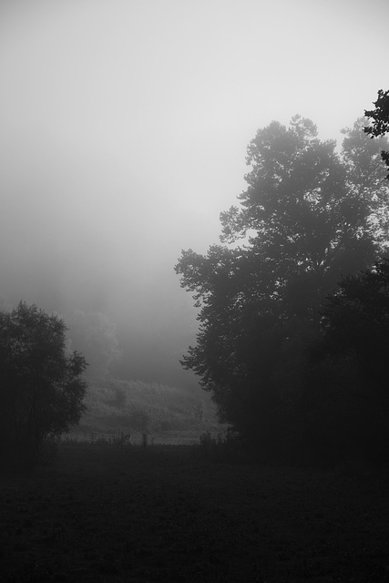 Fog on the hills