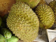 Le Durian, un fruit qui dégage une odeur pas trés agréable mais qui est trés bon...
