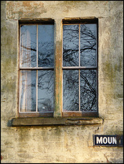 Only Window