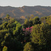 Hollywood Hills sunset  (3738)