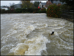 Osney Weir flood water