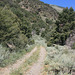 Road up Summit Canyon