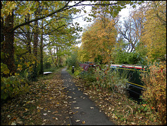 fallen leaves on the towpath