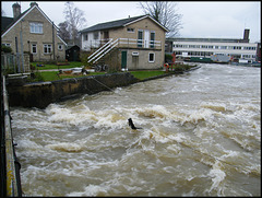 floodwater at Osney Weir
