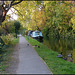 Canal Walk in autumn