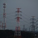 Electricity towers at dawn