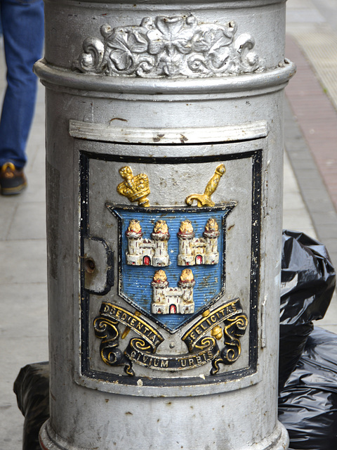 Dublin 2013 – Coat of arms of Dublin