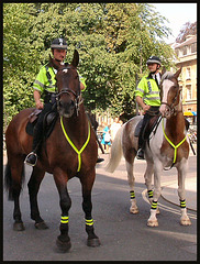 Oxford police horses
