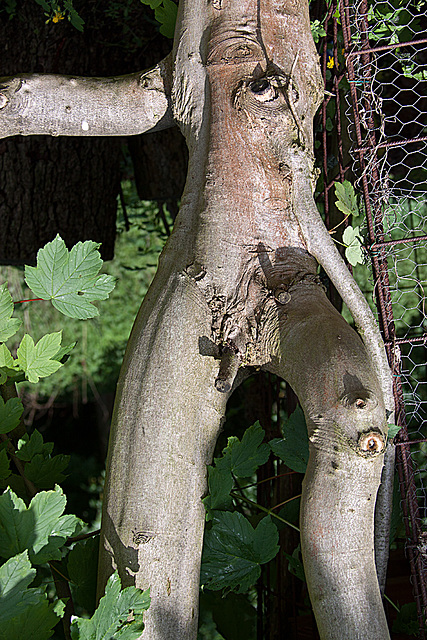 20130519 1894RAw [D~LIP] Baum-Skulptur, UWZ, Bad Salzuflen