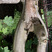 20130519 1894RAw [D~LIP] Baum-Skulptur, UWZ, Bad Salzuflen