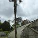 Russborough House 2013 – Palm trees