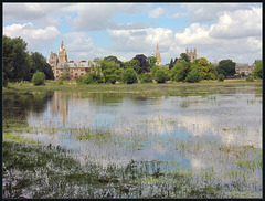 Oxford water meadow