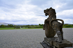 Russborough House 2013 – Lion looking out over County Wicklow