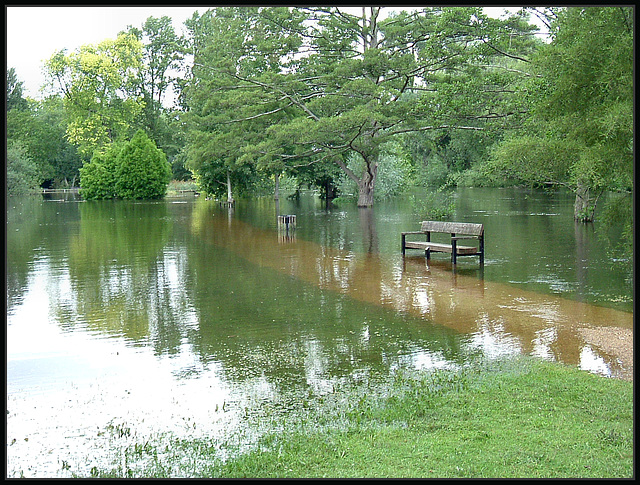 summer flood at University Parks
