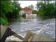 flooding at Weirs Mill