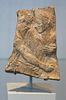 Terracotta Fragment of a Votive Relief in the Metropolitan Museum of Art, June 2010