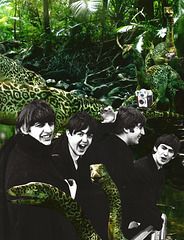 beatlemania arrives in the late triassic