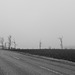 St Joe Highway on a Foggy Morn