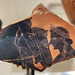 Fragment of an Amphora in the Metropolitan Museum of Art, November 2009
