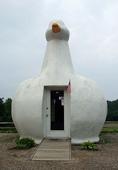 The Big Duck in Flanders, July 2008