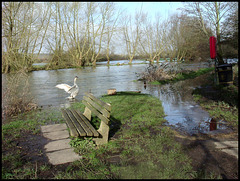 old seat at Four Streams