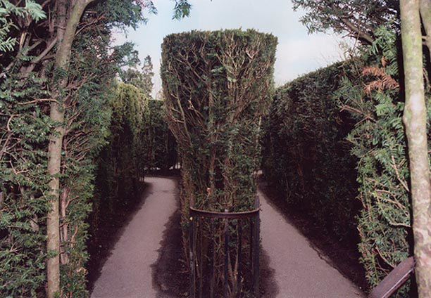 The Maze at Hampton Court Palace, March 2004