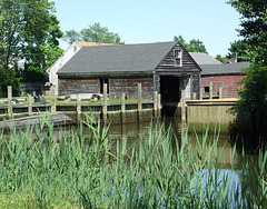 Bullrushes and Boathouse in Seaford, May 2010