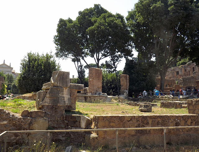 The Regia in the Roman Forum, July 2012