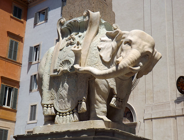 Detail of Bernini's Elephant in Rome, June 2012