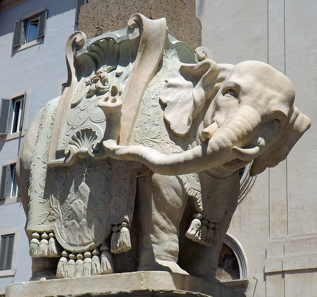 Detail of Bernini's Elephant in Rome, June 2012