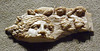 Ivory Fragment with Personifications of Victory and the Nile in the Metropolitan Museum of Art, January 2011