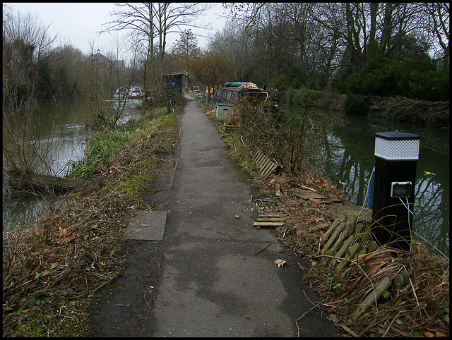 canalside gardens turned to waste