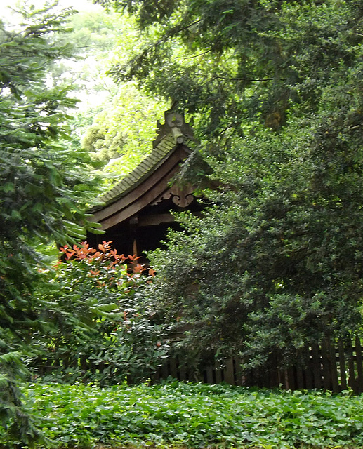 The Shinto Shrine Behind the Trees in the Japanese Garden in the Brooklyn Botanic Garden, June 2012