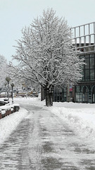 BELFORT: Chute de neige du 8 decembre 2012.03